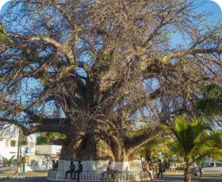 Mahajanga